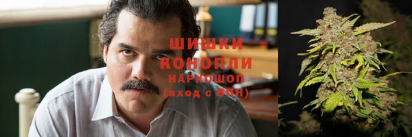 ГАЛЛЮЦИНОГЕННЫЕ ГРИБЫ Балахна