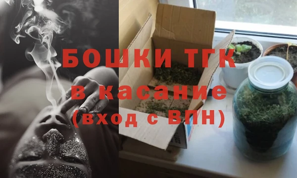 ГАЛЛЮЦИНОГЕННЫЕ ГРИБЫ Балахна