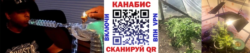 kraken   Высоцк  Канабис THC 21% 